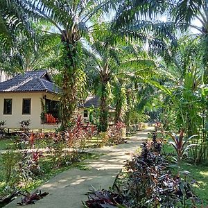 Khao Sok Palm Garden Resort